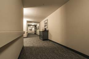 A hallway with a carpeted floor and a trash can.