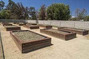 A row of brown raised garden beds are lined up in a fenced area.