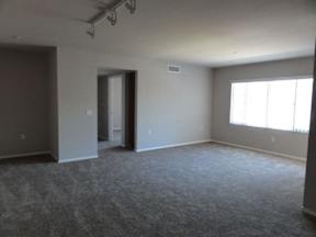 A large, empty room with carpeted flooring and a window on the right side.