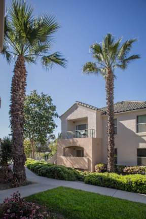 A modern house with a balcony is surrounded by palm trees and greenery.