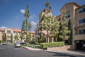 A street view of a residential area with apartment buildings and trees.