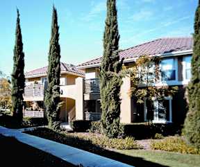 A house with a red roof and a balcony is surrounded by tall trees.