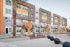 A modern apartment complex with a palm tree in front.