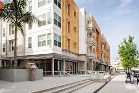 A modern apartment building with a palm tree in front.