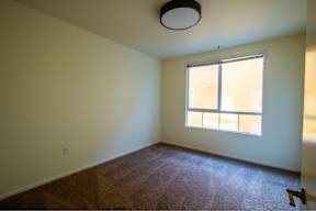 A room with a window and a carpet on the floor.