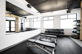 a fitness room with weights and dumbbells in a gym
