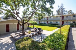 Downtown Walnut Creek Apartments- Walnut Hill- Large Courtyard with BBQ Grills, Bench Seating, and Lush Landscaping