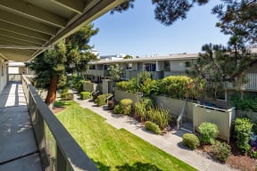 Walnut Creek CA Apartments - Walnut Hill - Outdoor Balcony Facing Courtyard