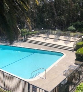 North Oakland Apartments- 225 Clifton- Sparkling Pool, Gated Area, and Sun Lounge Chairs