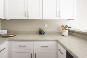Lots of counter top space and cabinet space