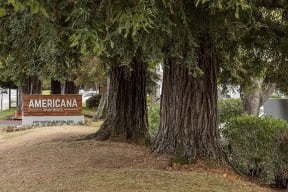 Pet Friendly Apartments in Rohnert Park - Americana - Wooden Entrance Sign and Large Trees and Bushes