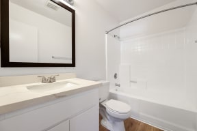 Bathroom shower and vanity 