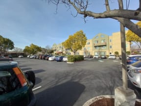 Borregas Court in Sunnyvale parking for residents