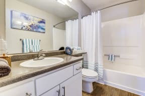 Bathroom with shower and vanity