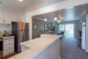 Apartments in Walnut Creek CA - Walnut Hill - Kitchen with Marble-Style Countertops and Stainless Steel Appliances