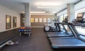 A gym with treadmills, weights, and exercise equipment.