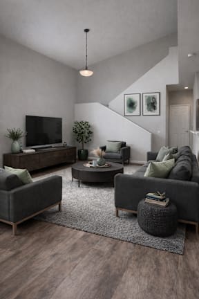 A living room with a grey couch, a coffee table, and a television.