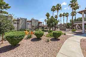 A sunny day in a courtyard with palm trees and a building in the background.