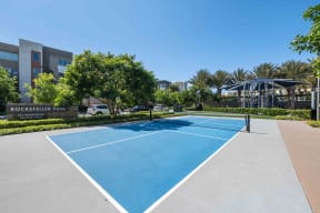Pet-Friendly Apartments in Irvine, CA - Astoria at Central Park West - Outdoor Pickleball Court with Surrounding Trees.