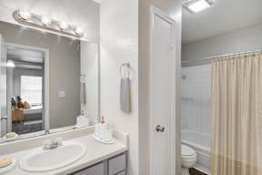 a bathroom with a sink and a mirror and a shower