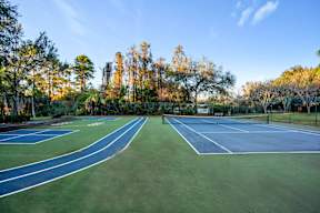 A tennis court surrounded by trees with a clear blue sky.