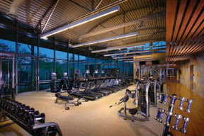 Irvine, CA Apartments for Rent - Astoria at Central Park West Fitness Center With Cardio Machines and Free Weights