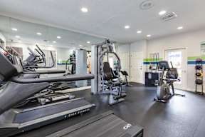 A gym with a treadmill, weights, and exercise equipment.