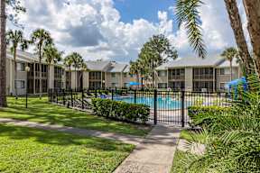 A swimming pool is surrounded by a black fence and palm trees.