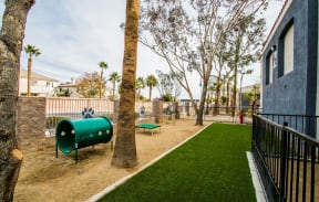 our apartments showcase a dog park with kennel and agility course