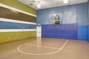 Indoor Basketball Court with Padded Walls