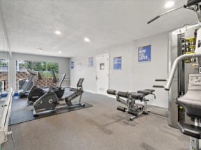 the gym is equipped with cardio equipment and weights