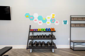 the gym has a variety of weights and dumbbells on display and a colorful