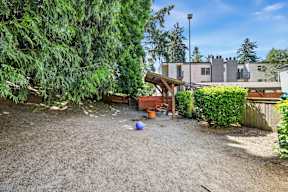 A backyard with a gravel ground and a tree.