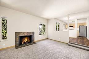 A living room with a fireplace and a television.