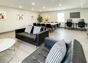 A black leather couch with a checkered pillow sits in a well lit room.
