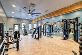 A gym with a variety of equipment including treadmills, weights, and a bench.