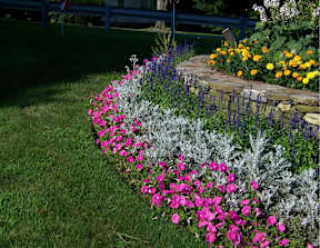 A garden with a stone wall and a variety of flowers.