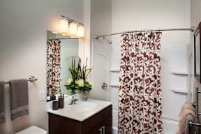 Bathroom Vanity