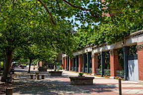 A tree-lined walkway with benches and a brick building in the background.