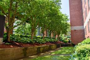 A green tree in front of a red building.
