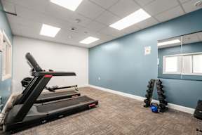 A treadmill is in a room with a blue wall.