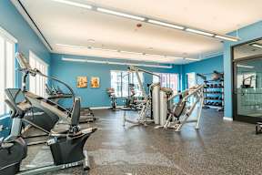 Gym entrance, cardio and strength training equipment with dumbbells