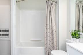 a bathroom with a shower and a toilet and a bath tub