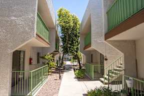 A tree in a courtyard between two buildings.