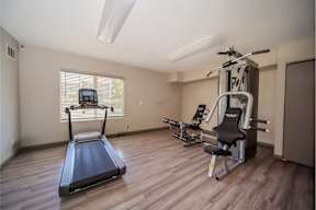 A treadmill and a weight machine in a room.