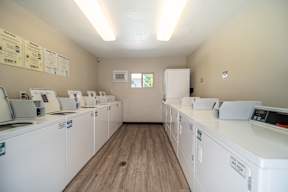 A laundromat with rows of washers and dryers.
