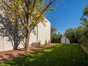 a white house with a tree in front of it