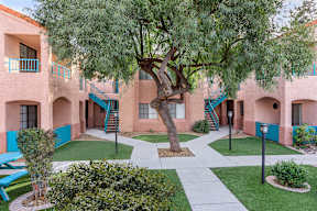 A courtyard with a tree in the middle of it.