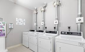 A row of washing machines are lined up in a laundromat.