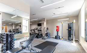 A well-equipped gym with a variety of exercise machines and a flat screen TV.